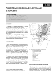 Anatomía quirúrgica del estómago y duodeno.