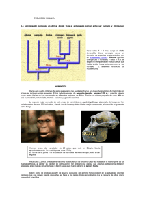EVOLUCION HUMANA La hominización comienza en