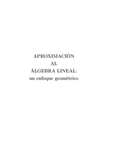 APROXIMACIÓN AL ÁLGEBRA LINEAL: un enfoque geométrico