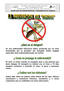 Es una enfermedad infecciosa febril, producida por un virus