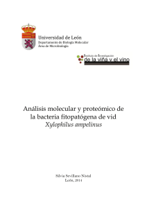Análisis molecular y proteómico de la bacteria fitopatógena