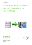 Formas de llevar a cabo un backup de una base de datos