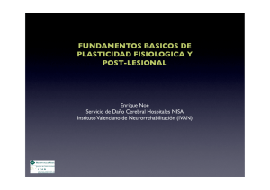 fundamentos basicos de plasticidad fisiologica y post