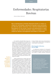 Enfermedades Respiratorias Bovinas