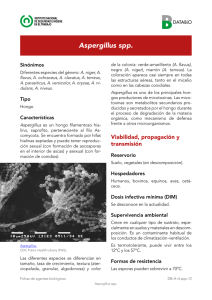 Aspergillus spp.