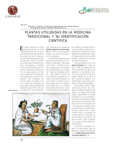 Plantas utilizadas en la medicina tradicional y su identificación