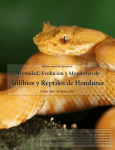Diversidad, Evolución y Monitoreo de Anfibios y Reptiles de Honduras