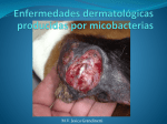 Enfermedades dermatologicas producidas por