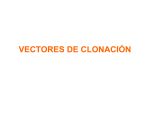 VECTORES DE CLONACIÓN