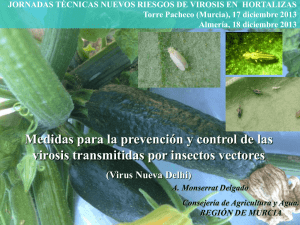 (Técnico responsable del IMIDA) (PDF 5,84 MB.)