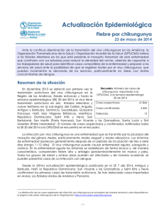 23 de mayo del 2014: Chikungunya – situación en las