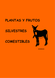 Plantas y frutos silvestres comestibles. Cesar Lema Costas.