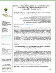 20 Effect of honey, amino acids, acetylsalicylic acid and Bacillus