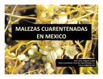 Parte 2.1 - Biodiversidad Mexicana