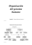 Genoma Nuclear - genoma . unsam . edu . ar