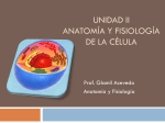 Anatomía y Fisiología de la Célula