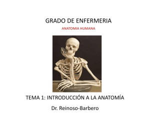 Diapositiva 1 - Anestesia Infantil