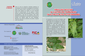 Virus que afectan al cultivo de duraznero en el Valle Alto de