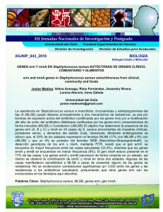 xiijnip_043_2010 - Universidad del Zulia