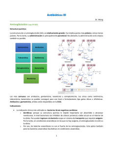 Antibióticos III - medicina