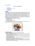 U6_virus informatico