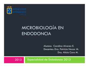 microbiología en endodoncia