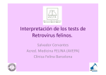 Interpretación de los tests de Retrovirus felinos