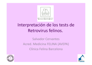 Interpretación de los tests de Retrovirus felinos