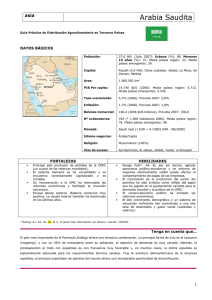 Arabia Saudita - Impulso Exterior