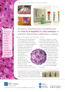 Kit para la monitorización y cuantificación del virus de la hepatitis A