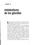 metabolismo de los glúcidos