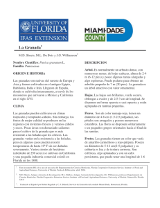 La Granada - Miami-Dade Extension