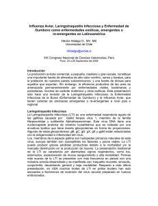 Influenza Aviar, Laringotraqueitis Infecciosa y Enfermedad de