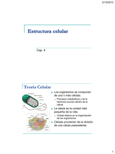 Estructura celular
