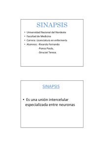Sinapsis - Facultad de Medicina