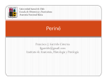 Microsoft PowerPoint - Perin\351 [Modo de