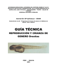 guía técnica - ALT Perú Bolivia