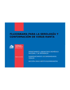 presentacion_flujograma_virus_hanta_marzo 2012