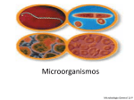 características de los microorganismos