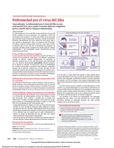 Zika Virus Disease