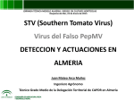 Virus del faldo PepMv - Juan Mateo Arco