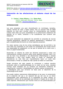 Valoraci&oacute;n de las afectaciones al sistema visual de
