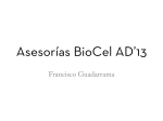 Asesorías BioCel AD`13