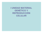 reproducción celular i