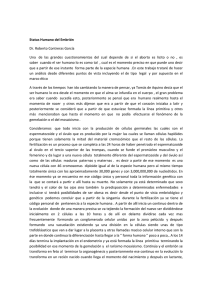 Status Humano del Embrión