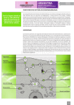 funciones del sistema de endomembranas lisosomas