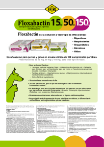 Enrofloxacino para perros y gatos en envase clínico