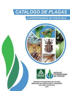 catalogo de plagas - Servicio Fitosanitario del Estado