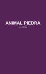 ANIMAL PIEDRA - Derivas Films