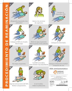 proced im ie ntodeream in ac ió n